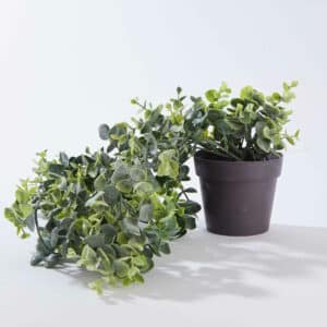 FLORISTA <span>hanging plant with pot 50cm</span>