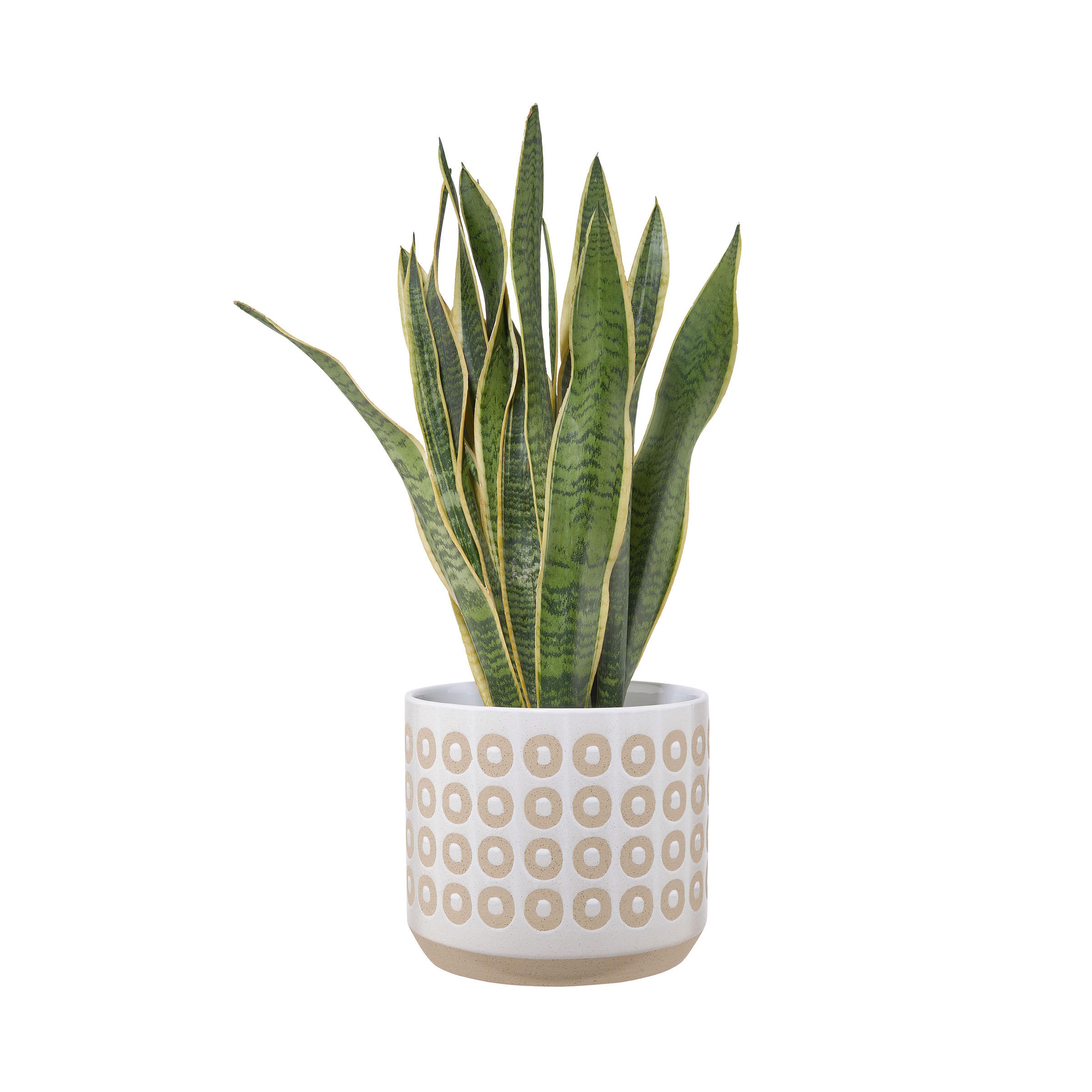 ETHNO <span>Flowerpot Ø26cm</span> - Image 2